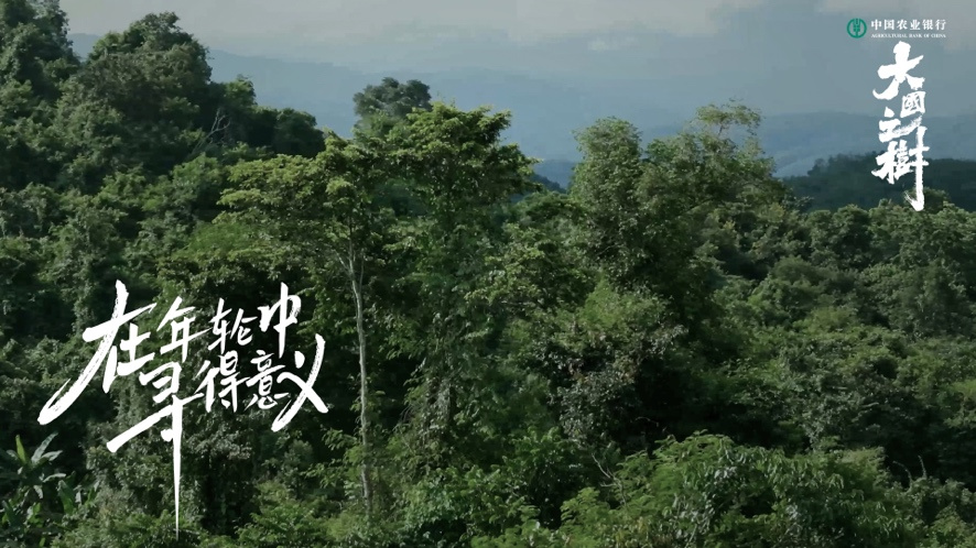 一棵树
描述已自动生成
